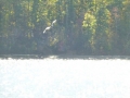 Bay_Springs_MS0000008