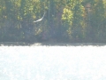 Bay_Springs_MS0000009
