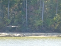 Bay_Springs_MS0000011