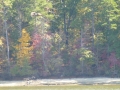 Bay_Springs_MS0000013