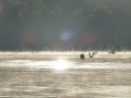 Columbus_MS0000022