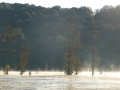 Columbus_MS0000024