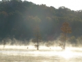 Columbus_MS0000025