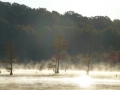 Columbus_MS0000026