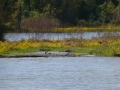 Columbus_MS0000031