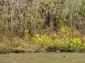 Columbus_MS0000038