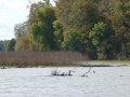 Columbus_MS0000042