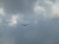 Columbus_MS0000050