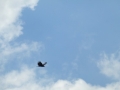 Columbus_MS0000052