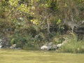 Columbus_MS0000056