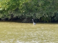 Columbus_MS0000058