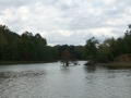 Columbus_MS0000065