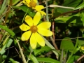 Columbus_MS0000077