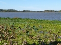 Columbus_MS0000084