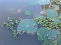 Columbus_MS0000092