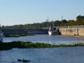 Columbus_MS0000106