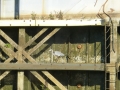 Columbus_MS0000108