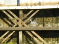 Columbus_MS0000109