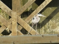 Columbus_MS0000116