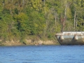 Columbus_MS0000136
