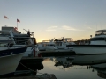 Grand_Harbor00008