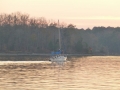 Grand_Harbor00017