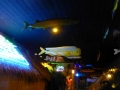 Grand_Harbor00027