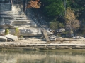 Pickwick_Landing00005
