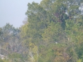 Pickwick_Landing00023