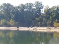 Pickwick_Landing00029