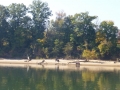 Pickwick_Landing00030