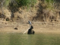 Pickwick_Landing00042