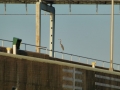 Pickwick_Landing00047
