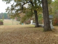 Shiloh0000050