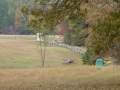 Shiloh0000051