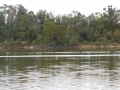Tensaw_River0000055