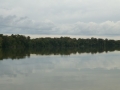 Tensaw_River0000058