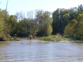Warsaw_cutoff0000041