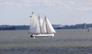 Sailboat_in_NY_Harbor_050614